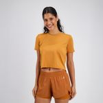 image-c5d55bda6b43497fa26d87001139d249
