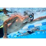image-f375dff941224acf8c281a70bda50f3d