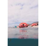 image-f17c090deaa748daa530d3f2ca82eacc