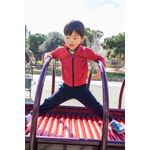 image-30661cdaad4b4c5db7da5743f41377bd