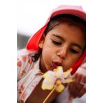 image-69d25b608ad545639367c349c0571b73