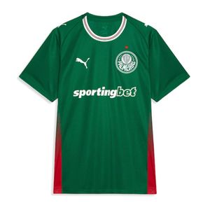 Camiseta Masculina Futebol S.E. Palmeiras Oficial Home Torcedor